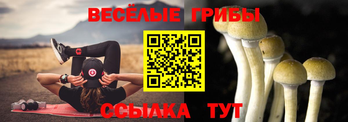 Галлюциногенные грибы прущие грибы  Вход с VPN  Магнитогорск 